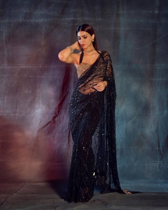 Picture of Soft Net Shimmer: The Sequin Saree 