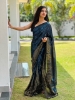 Picture of Shine Like a Star in 6 Dazzling Colors: The Dual Sequin Saree Collection