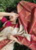 Picture of New Ready-to-Wear Saree by Outfitpulse