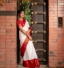 Picture of The Shimmering Celebration Saree