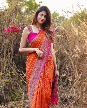 Picture of Soft Silk Saree Featuring Intricate Gold Zari Work